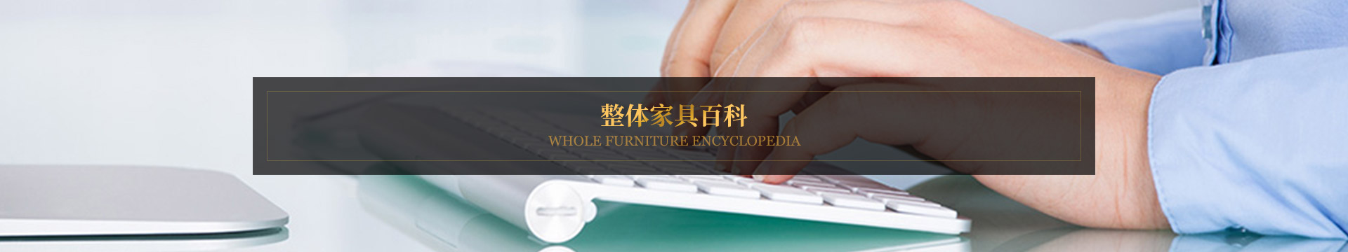 新藝高資訊